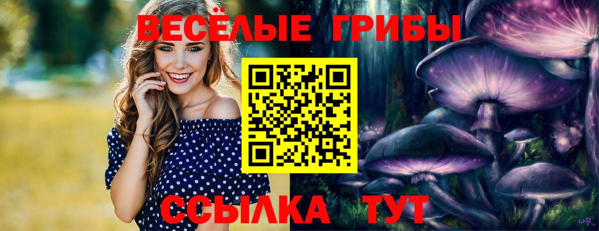 Псилоцибиновые грибы GOLDEN TEACHER Советская Гавань