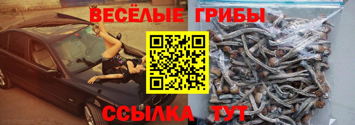 Советская Гавань  Галлюциногенные грибы ЛСД  Вход с VPN  Галлюциногенные грибы Cubensis 